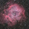 バラ星雲