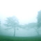 photo_1068577