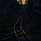 夕日の光に照らされる鉄路