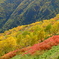 秋の登山道にて