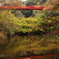 もう少しで紅葉