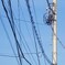 Electric wire and light