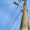 Electric wire and light