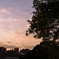 夕暮れ