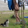 狙う
