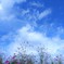 空に浮かぶ際中