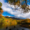 Autumn view