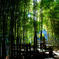 Huntington Library in Los Angeles