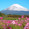 10月23日  静岡県東部より～朝の富士山