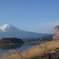 富士と桜