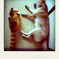 IXY-Canon 004-pola