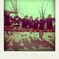 so905ics 016-pola