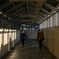 連絡通路