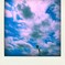 t02200165_0800060010692580691-pola