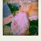 so905ics 087-pola