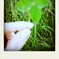 t02200406_0433080010643656629-pola
