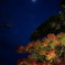 月と紅葉