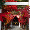 北海道 遠輕神社の紅葉その1