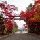 北海道 遠輕神社の紅葉その3