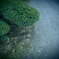 行ってらっしゃい。