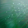 ShowerⅡ