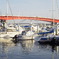 西宮大橋
