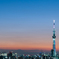 Sunset in TOKYO 〜 まだまだ現役♪