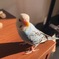 ひなたぼっこ