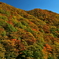仙人峠の紅葉