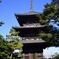 横浜　三渓園お写ん歩