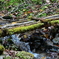 橋