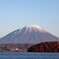 朝の陽を浴びて
