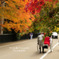 Enjoy autumn...