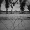 P1090809_R