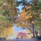 6CE2694D-F79B-4773-B2EE-12CE680A9E32