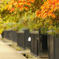 Autumn silence...
