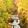 鳳鳴四十八滝～秋～