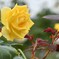 DSCN0478_120