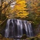 秋色の不動滝