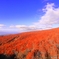 秋を探す旅人