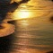 海　(光る砂浜）