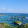 海
