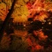 -紅葉銀河-