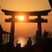 光の道の始まりの鳥居