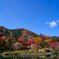 カラフルな庭園