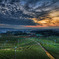 茶畑の夕景