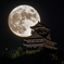 稲葉山の望月