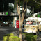 木漏れ日カフェ