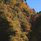 中津峡