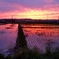 夕方の田園